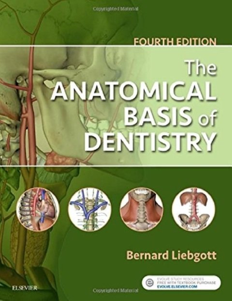 The Anatomical Basis of Dentistry.