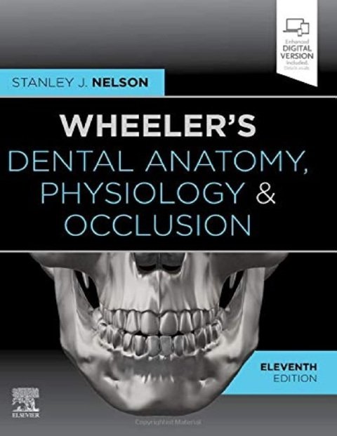 Wheeler's Dental Anatomy, Physiology and Occlusion Expert Consult.
