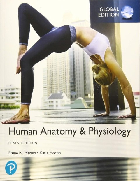 Human Anatomy Physiology, Global Edition.