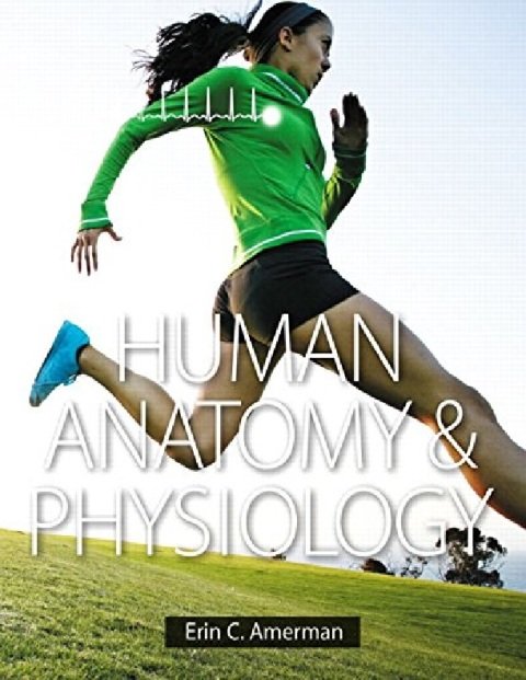 Human Anatomy & Physiology.