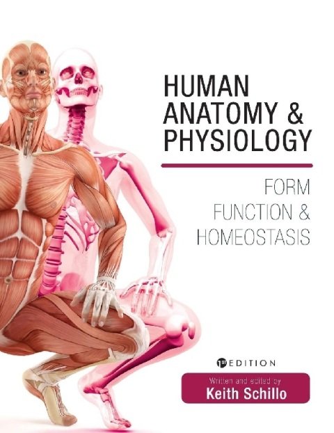 Human Anatomy and Physiology Form, Function, and Homeostasis.