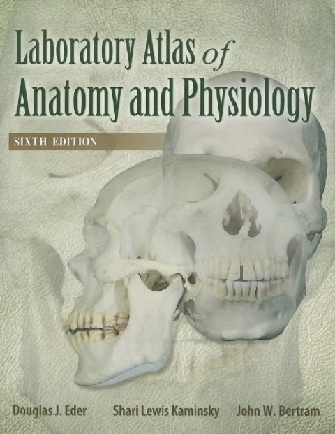 Laboratory Atlas of Anatomy & Physiology.