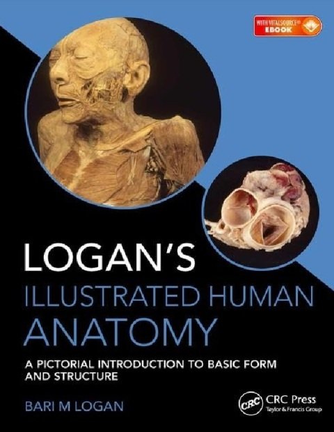Logan's Illustrated Human Anatomy A Pictorial Introduction to Basic form and Structure.