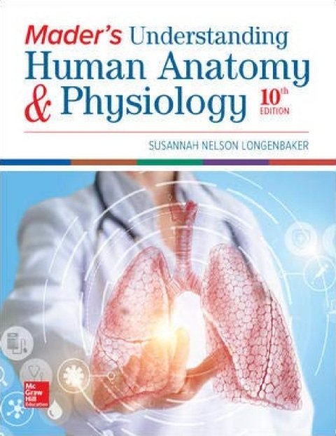 Mader's Understanding Human Anatomy & Physiology.