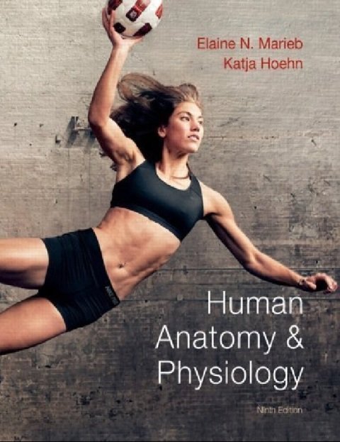 Marieb, Elaine N.; Hoehn, Katja N.'s Human Anatomy & Physiology with MasteringA&P (9th Edition).