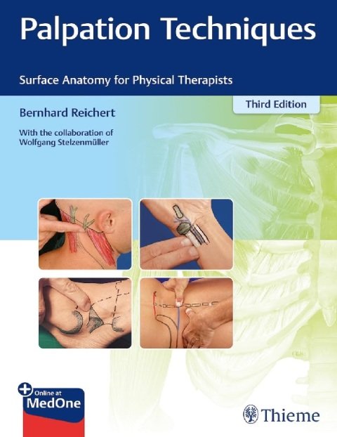 Palpation Techniques Surface Anatomy for Physical Therapists.