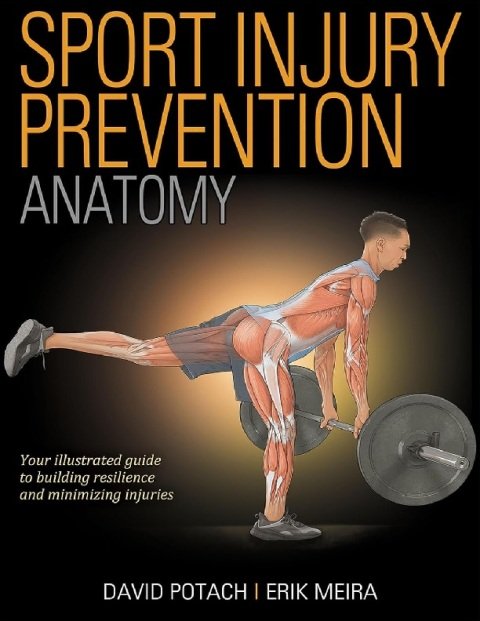 Sport Injury Prevention Anatomy.