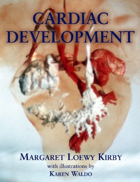 Cardiac Development.