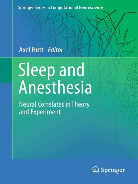 Sleep and Anesthesia Neural Correlates in Theory and Experiment (Springer Series in Computational Neuroscience, 15)