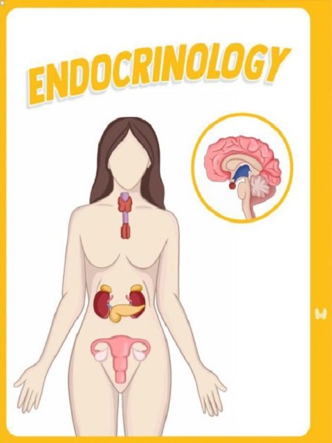 Step 1 Medschoolbro - Endocrinology 2025