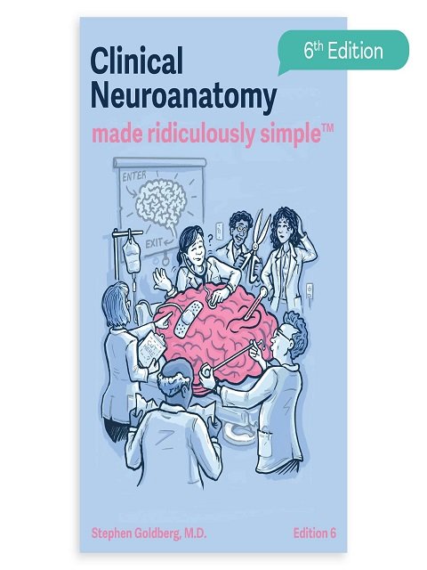 Clinical Neuroanatomy Made Ridiculously Simple Color Edition