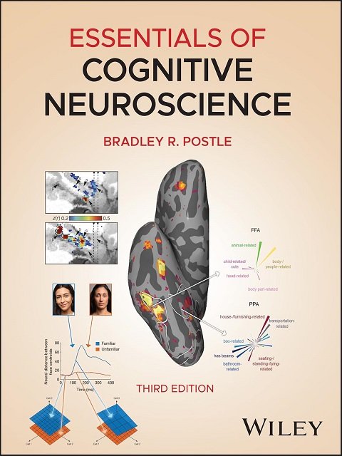 Essentials of Cognitive Neuroscience.