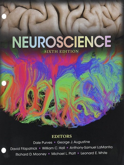 Neuroscience 6th Edition.