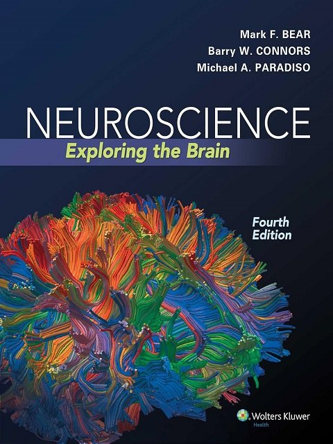 Neuroscience Exploring the Brain, Fourth Edition.